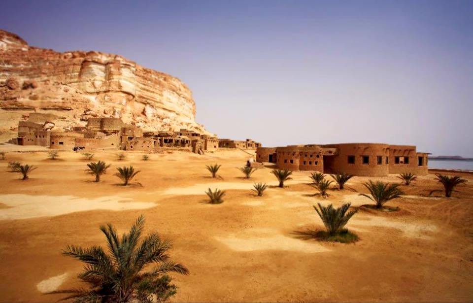 El Fayoum Day Tour  from Cairo